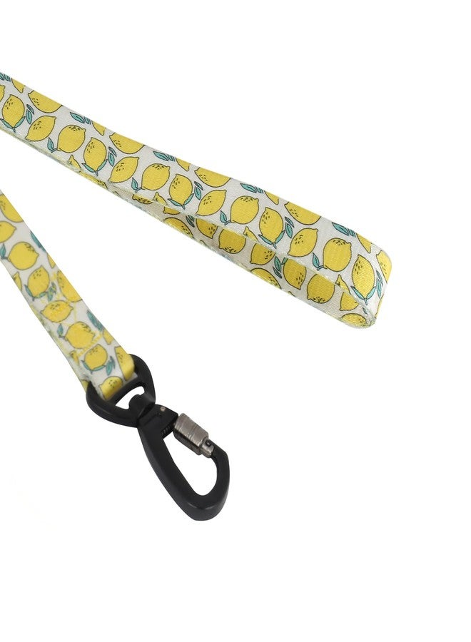 BLACK DOG Premium Adjustable Lock System, Collar & Leash Set for Puppies, Suitable for 1-10kg Puppies and Small Dogs (Size - Small -15mm) - Image 5